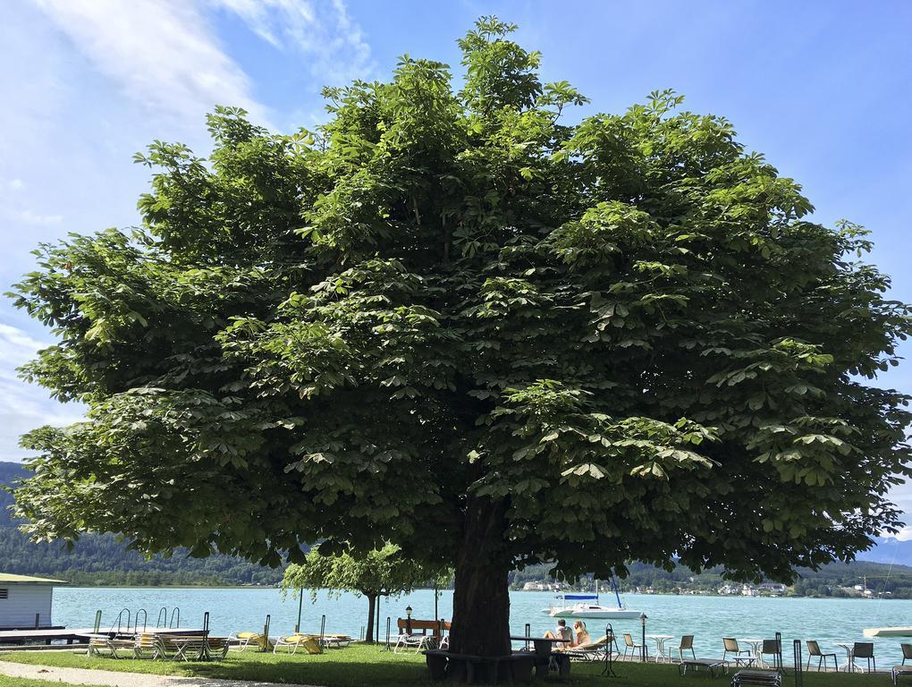 Strandhotel Kaerntnerhof เพิร์ทชาค อัม เวิร์ทเทอร์ซี ภายนอก รูปภาพ